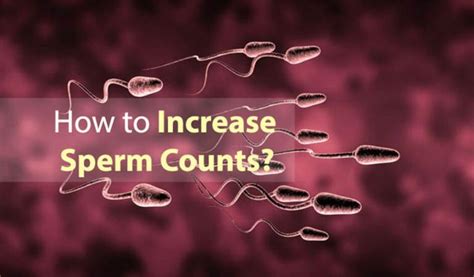 15 Ways On How To Increase Sperm Count Boost Your Sperm Count Naturally Sundrop Fuels