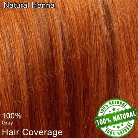 Geetanjali henna brown natural mehndi for hair (20gm) pack of 10 (brown) ₹ 200.00 ₹ 150.00. Kirpal Export Overseas-Natural Henna Manufacturers: Herbal ...