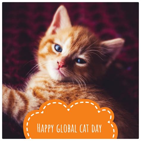 Happy Global Cat Day Espacioteca