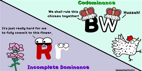 We would like to show you a description here but the site won't allow us. Incomplete Dominance vs. Codominance - Science with The ...