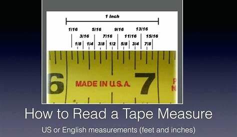 Reading A Tape Measure Worksheet | Tape measure, Reading, Printable