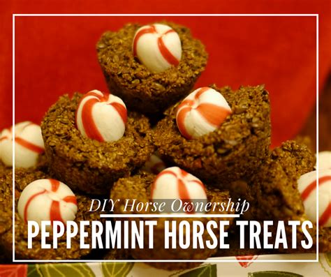 Horse Treats Recipes Peppermint Bryont Blog