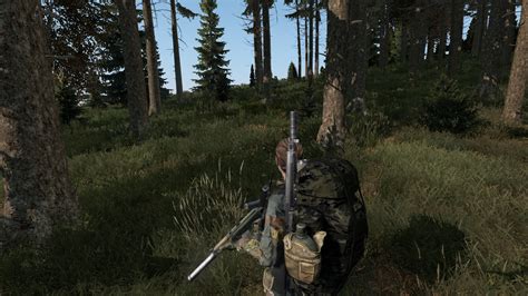 And heres another screenshot. : dayz