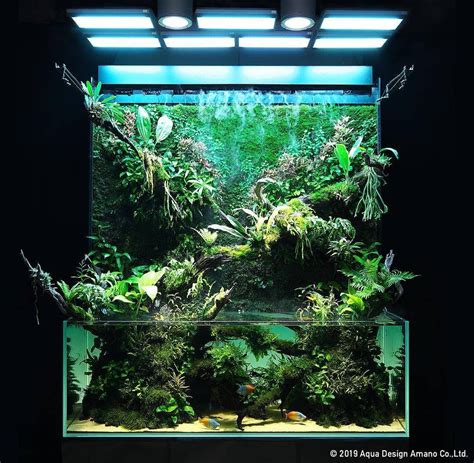 Daily Aquascape Inspiration On Instagram Another Beautiful