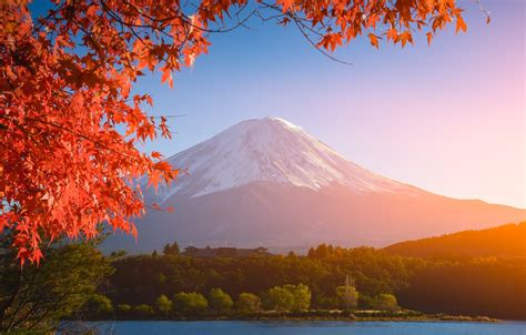 Download Wallpaper Autumn The Sky Leaves Colorful Japan Red By