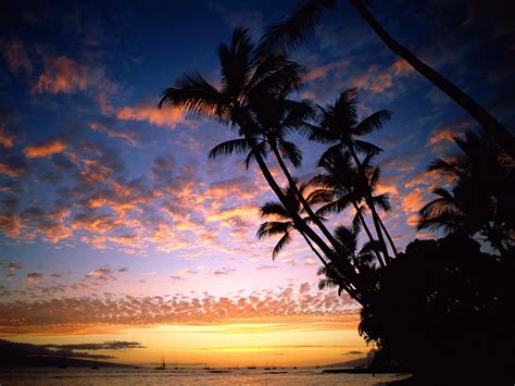 The World Visit Hawaii Beach Sunset
