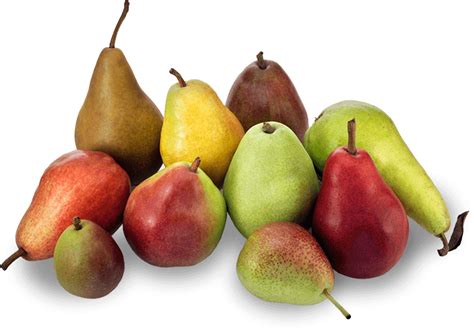 Usa Pears Web Site Pear Varieties Pears Benefits Fruit