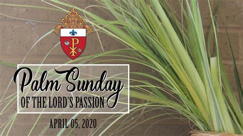 Palm Sunday Of The Lords Passion April 5 2020 Youtube