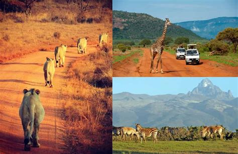 List Of 10 Affordable Safari Packages In Kenya