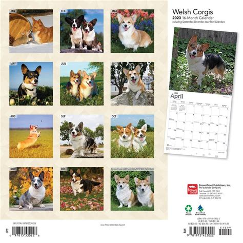 Welsh Corgis 2023 Wall Calendar Online Exclusive In 2022 Corgi Wall Calendar Mini Calendars