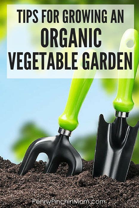 Want An Organic Garden Read These Must Know Tips Before You Begin