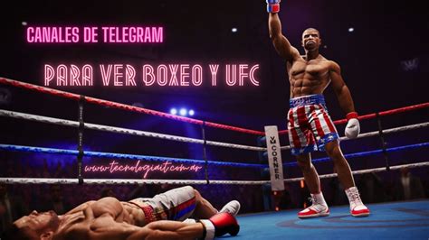 Canales De Telegram Para Ver Peleas De Boxeo Y UFC Por Streaming En