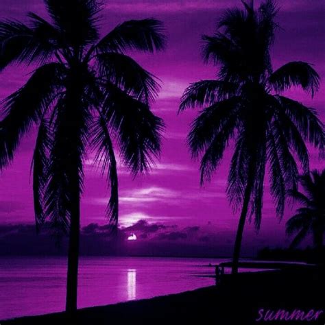 Purple Sunset Sunset Nature Pink Sunset Palm Tree Sunset
