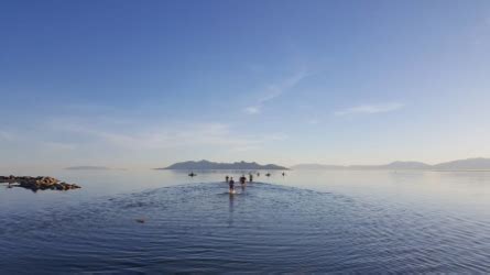 Maybe you would like to learn more about one of these? Great Salt Lake Open Water Swim - 06/06/2020 - Race ...