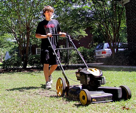 Find lawn care diy tips. 6 Steps of how to start a lawn care business | HireRush