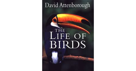 The Life Of Birds Princeton University Press