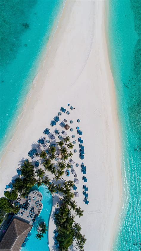 1366x768px 720p Free Download Beach Island Aerial View Sea Palm