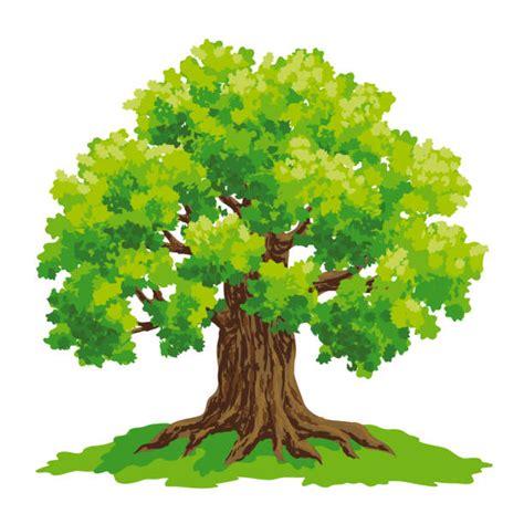 Big Oak Tree Clip Art 20 Free Cliparts Download Images On Clipground 2024