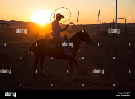 Cowboy With Lasso Hi Res Stock Photography And Images Alamy
