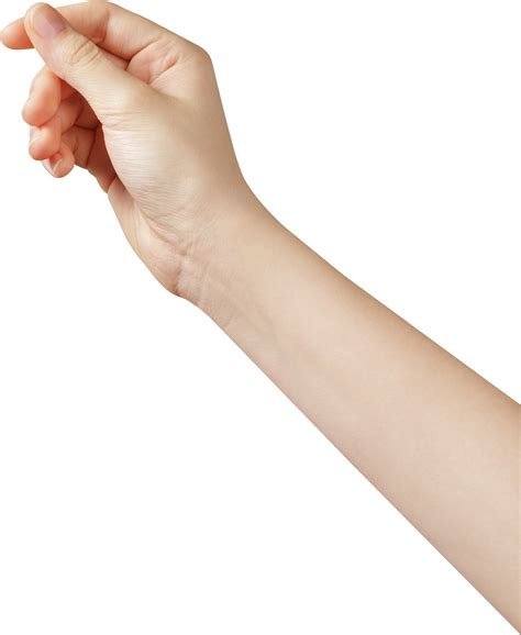 Download Hd Personwomans Hand Hand Holding Something Png Transparent