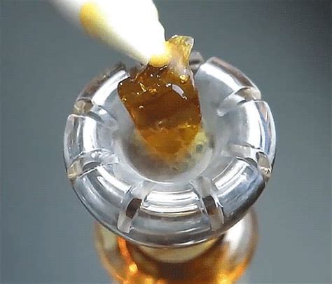 best 676 extracts dabs wax bho errl corner by w33daddict images on pinterest other