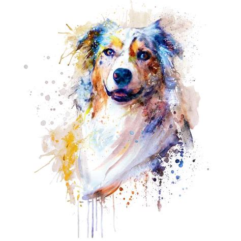 Stunning Australian Shepherd Artwork For Sale On Fine Art Prints