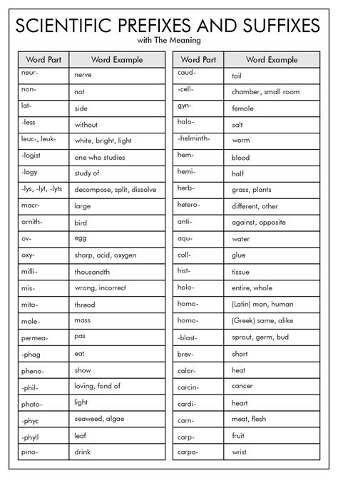 33 Science Prefix And Suffix Worksheet Free Worksheet Spreadsheet