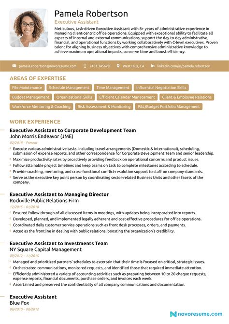 Administrative Officer CV Example Simple Resume Template