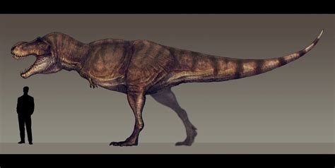Tyrannosaurus Rex Scale
