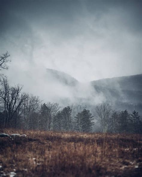 Anthony Rogers ⛰🛩 On Instagram “i Tried To Catch Some Fog But I Mist ” Mists Fog Instagram