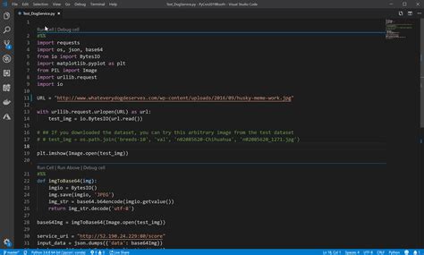 Setting Up Visual Studio Code For Python On Macos Coding Python Visual
