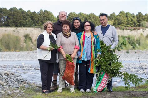 Rongoā Māori Harvesting Tutu For A Healing Balm Te Papas Blog