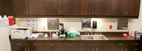 Our Ivf Laboratory Red Rock Fertility Center