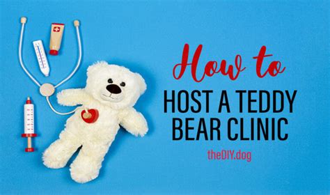 How To Host A Teddy Bear Clinic Event To Promote Responsible Pet