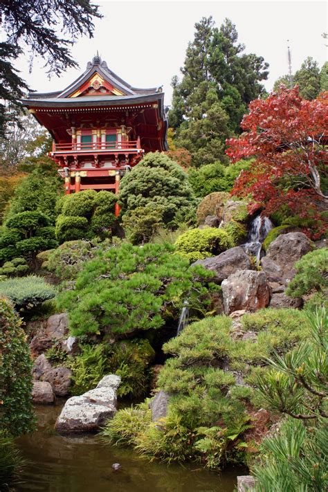 Tea garden restaurant has both! Japanese Tea Garden: Golden Gate Park | San francisco ...