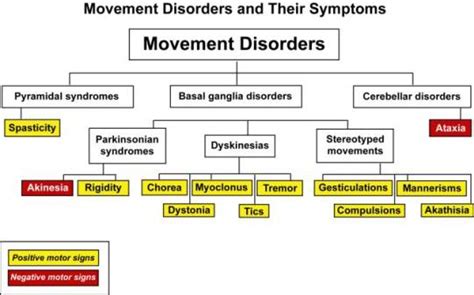 Cognitiveneuropsychology Movement Disorders Week 5