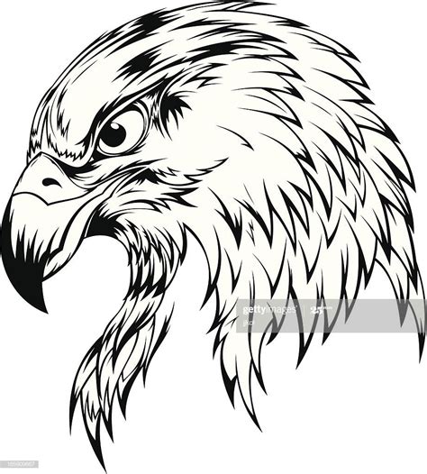 Eagles Tattoo Ave Tattoo Eagle Head Tattoo Pencil Art Drawings Bird