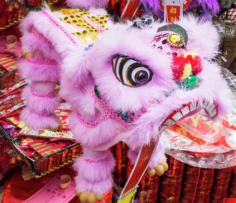 Chinese Lion Puppet Photograph By Eliza Mcnally