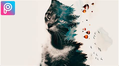 Awesome Photo Editing Of A Cat Double Exposure With Picsart Photo