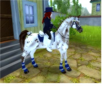 Maybe you would like to learn more about one of these? SSO-style - Star Stable Fan
