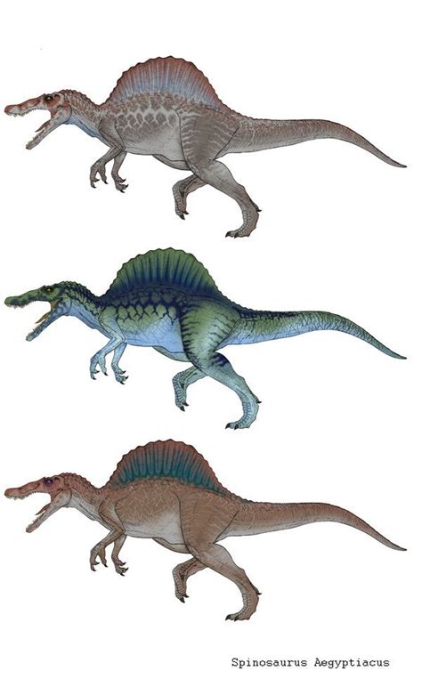Spinosaurus Aegyptiacus Variations By March90 Spinosaurus Aegyptiacus