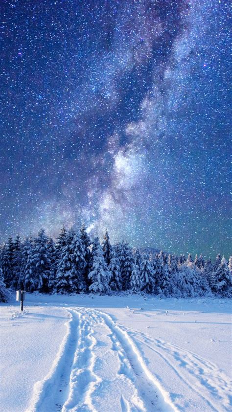 Wallpaper Forest Snow Winter Sky Stars Night 5k Nature 17354