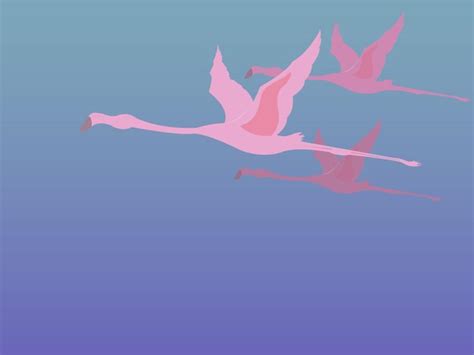 Premium Vector Flying Flamingos Vector Illustration Exotic Birds With