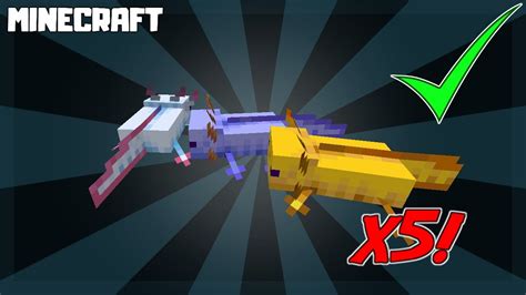 Minecraft All Axolotl Variants Colors 117 Caves And Cliffs Update