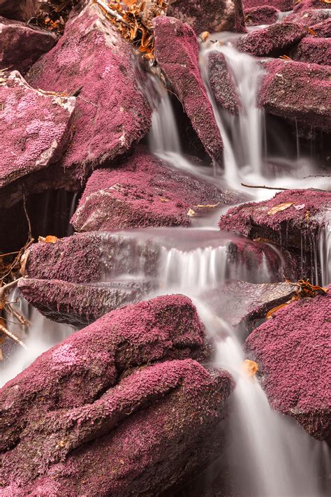 Free Photo Pink Moss Waterfall Perspective Scenic Scenery Free