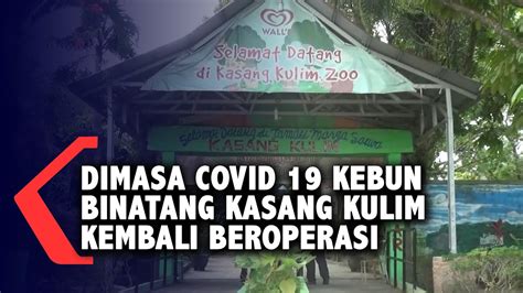 It was created in 1933 when two existing zoos in the city (cimindi zoo and dago atas zoo) were combined and moved to the current location on taman sari street. Kebun Binatang Kasang Kulim Kembali Beroperasi - YouTube