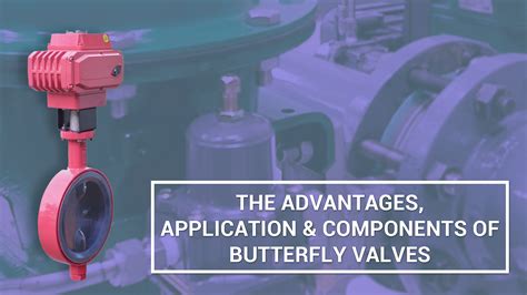 The Advantages Application And Components Of Butterfly Valves Skg