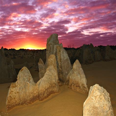 Perth Day Trips Nine Reasons Why The Pinnacles Have To Be On Your