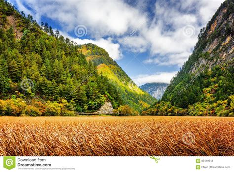 Autumn Field Among Fall Woods In Scenic Mountains Stock Image Image