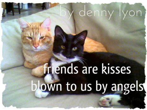 Catch The Inspirational Cat Pictures With Captions Funny Friends